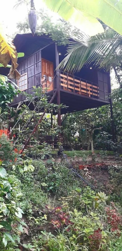 Lo Adoro Tree Hut Tourist Homestays Ambalavayal